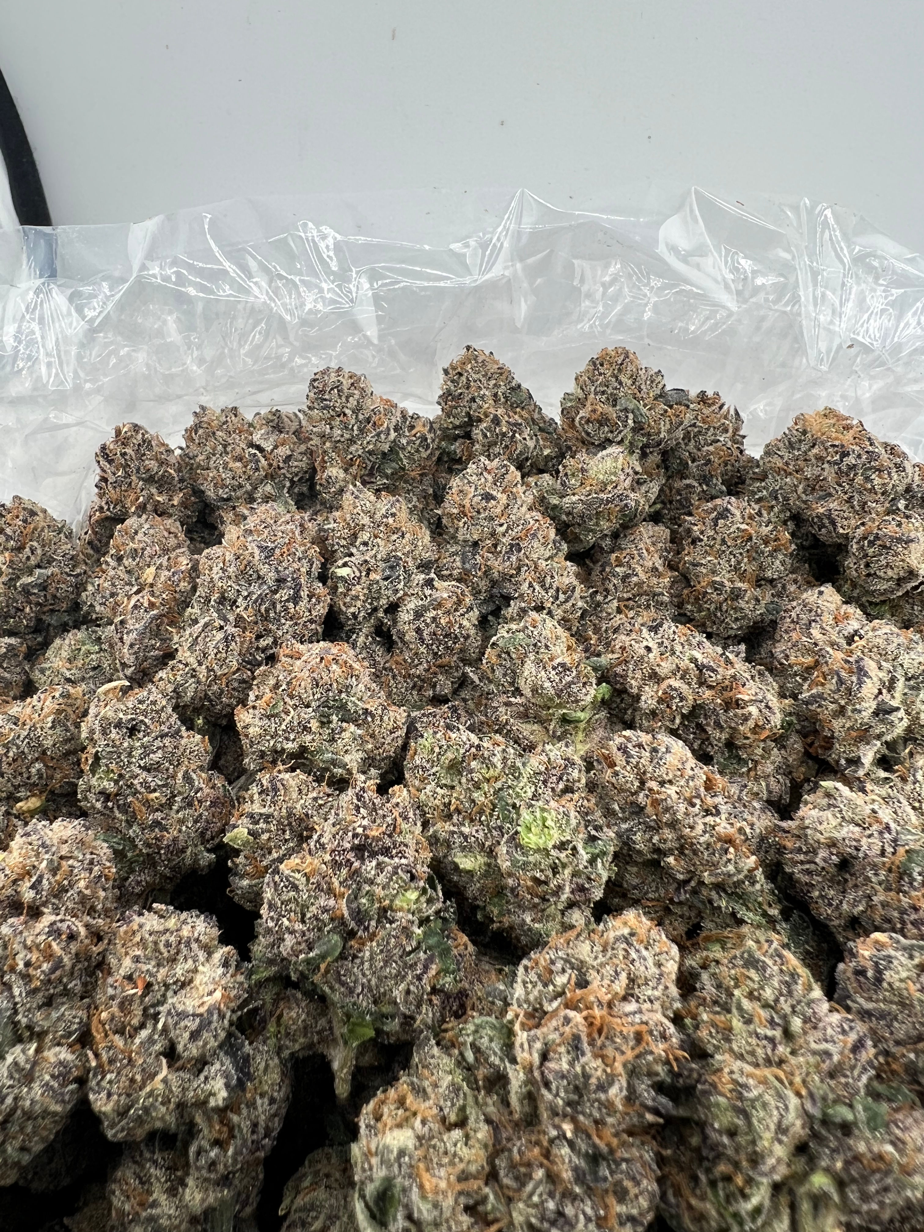 BLUE CHERRY GELATO (INTOWN: $1100, SHIPPED: $1200)