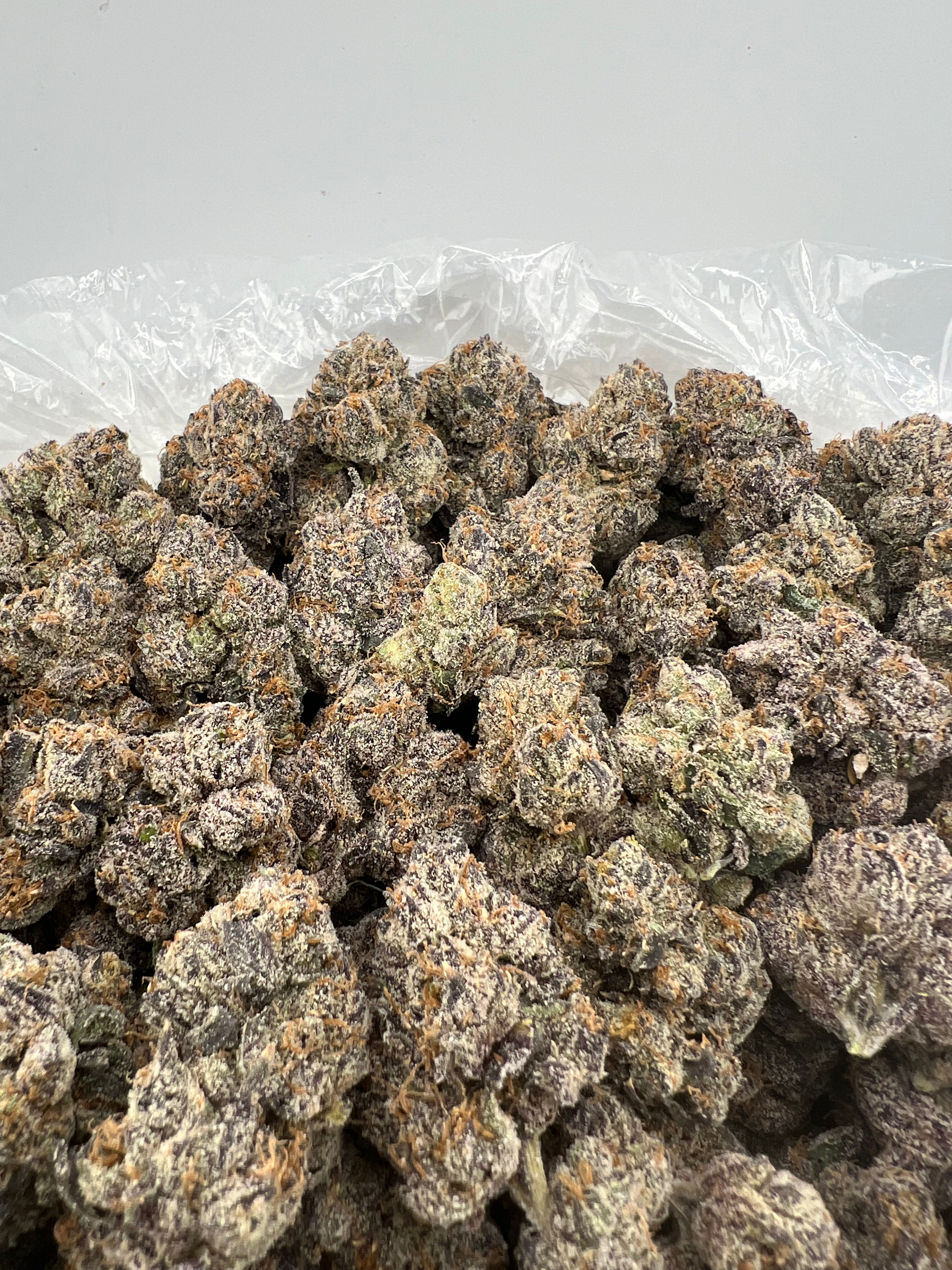 RUNTZ DMC (INTOWN: $1200, SHIPPED: $1300)