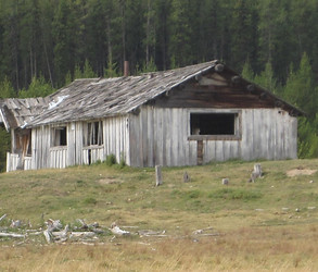 The second homestead cabin