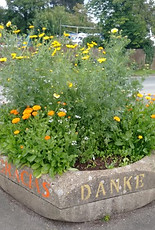 shared space Totnes