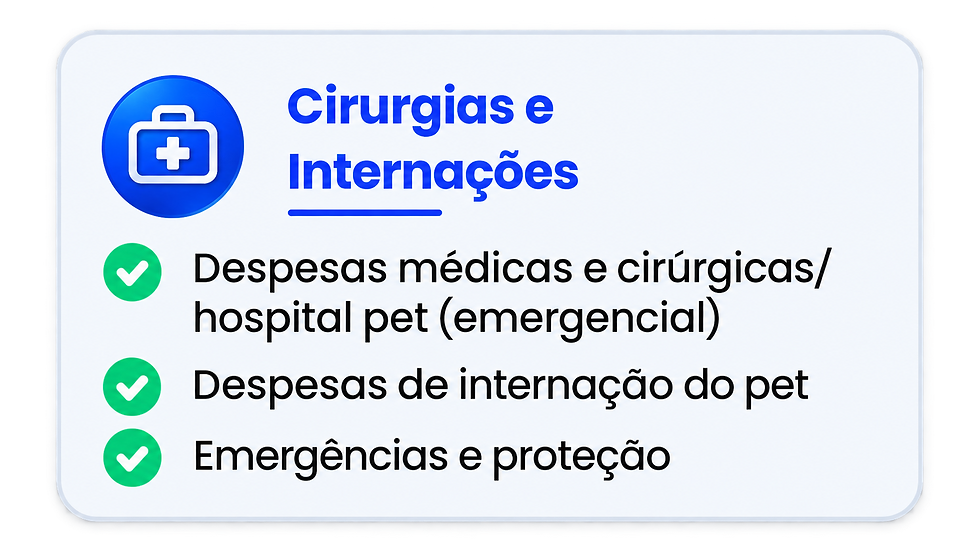 ChatGPT Image 28 de ago. de 2026, 13_20_21 (4).png