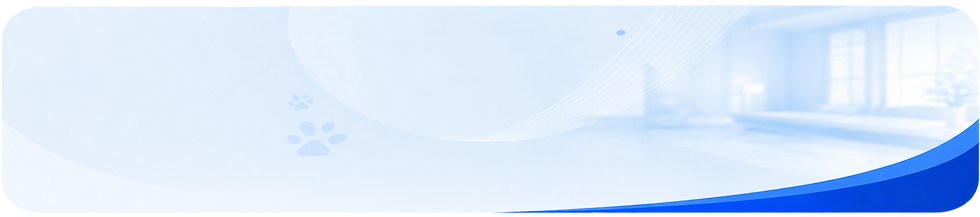 ChatGPT Image 18 de ago. de 2026, 14_43_54.png