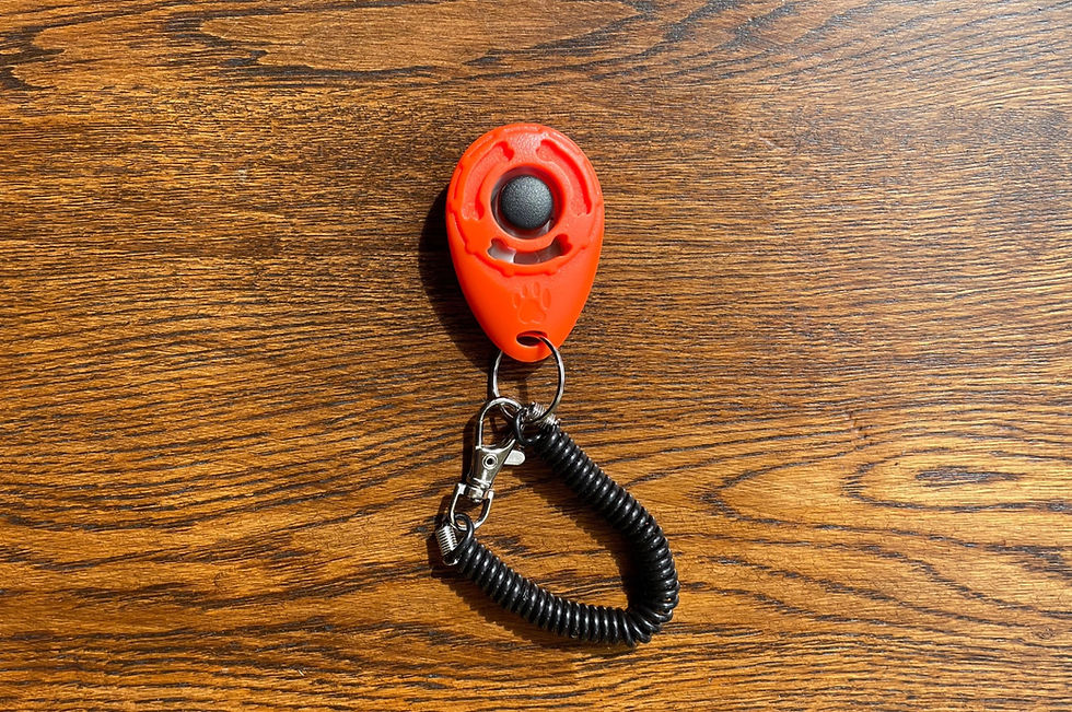 Thumbnail: Clicker 5 pack