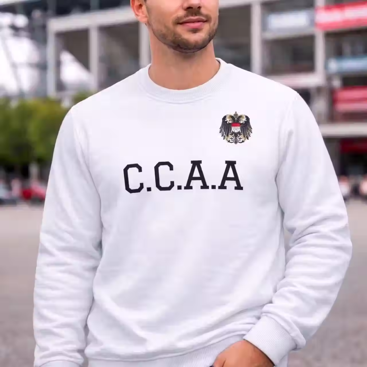 Pullover - C.C.A.A