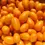 Thumbnail: 10 GAL KUMQUAT TREE