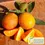 Thumbnail: 10 GAL RED LIME TREE