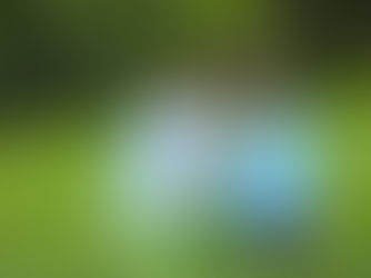 How Favcy Venture Builders Identify Perfect Founder-Market Fit: The KSKT Success Story