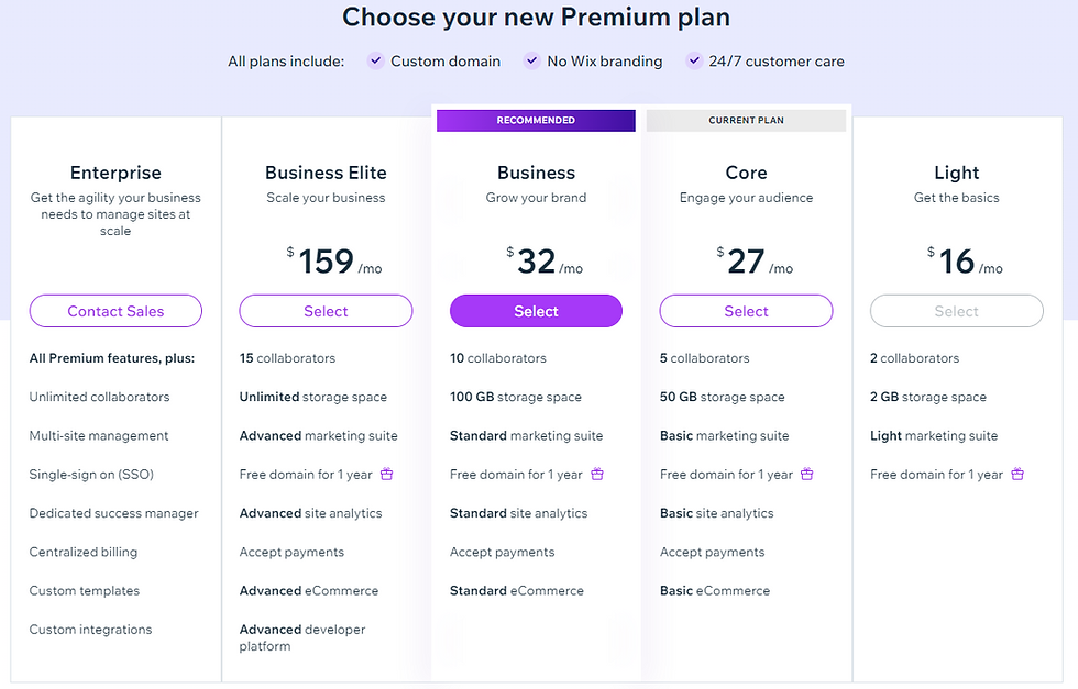 Wix premium plan