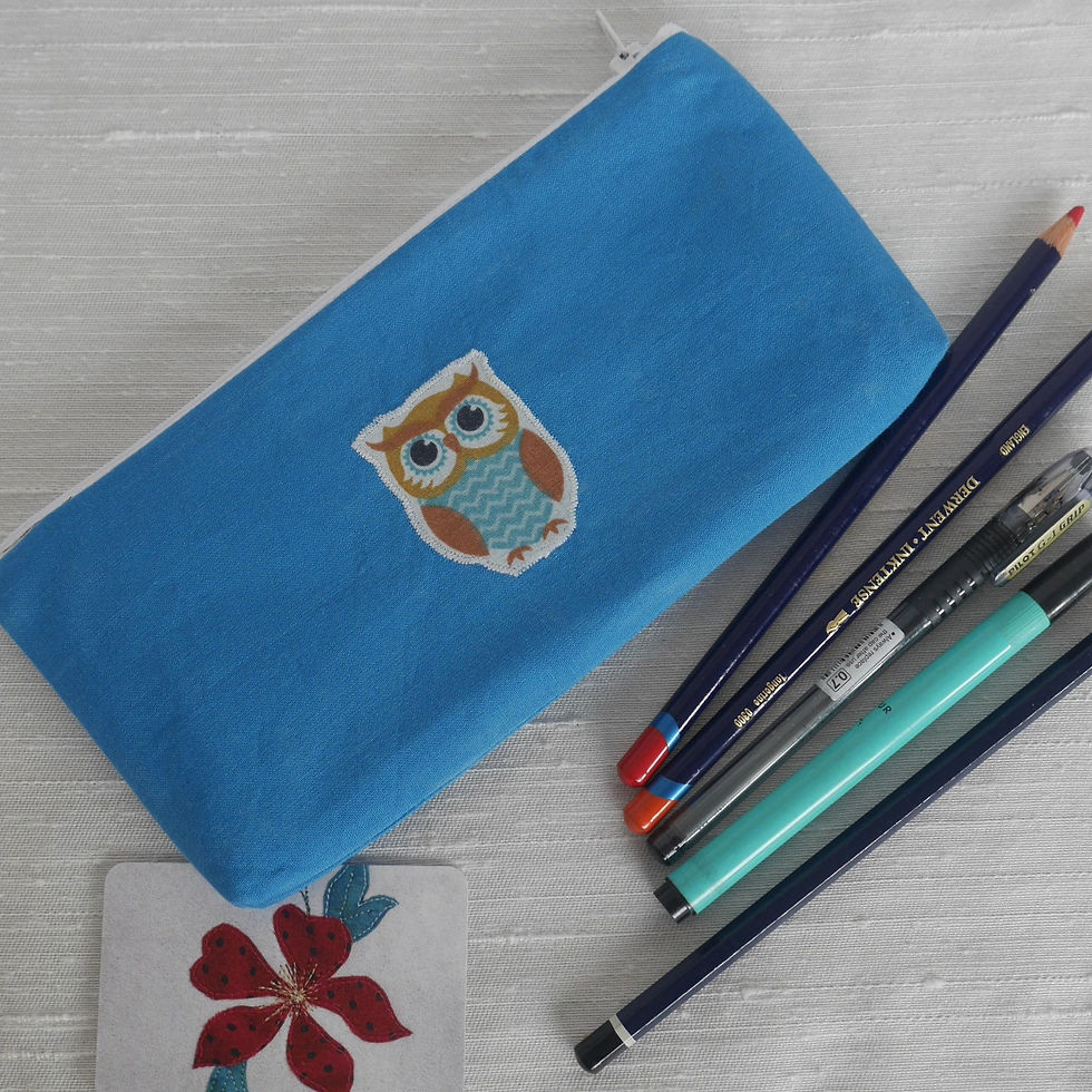Blue owl pencil case front with pens