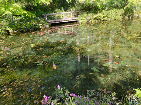 DSC_5093.JPG