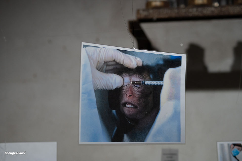 ShadowLab - valo osuu nyt toiseen päähän häkkiä