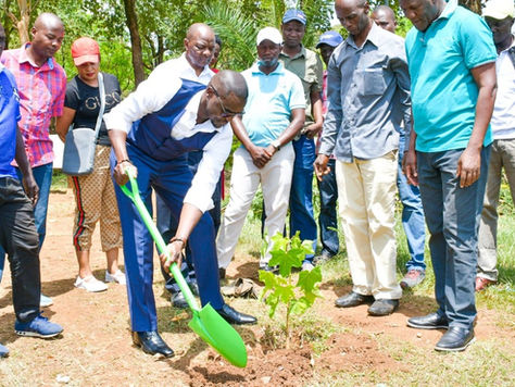 UNASDG and Kenya's Kisumu County launched officially the Kisumu Greening Programme.