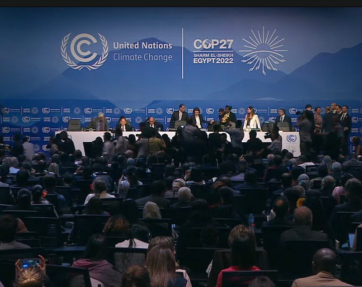 COP27 (10).jpg