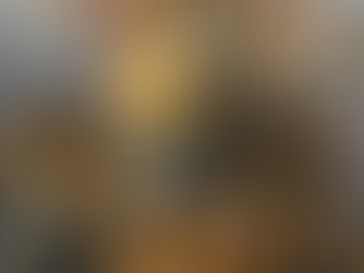 Want to Protect our Democracy? Vote for (Certain) Democrats.