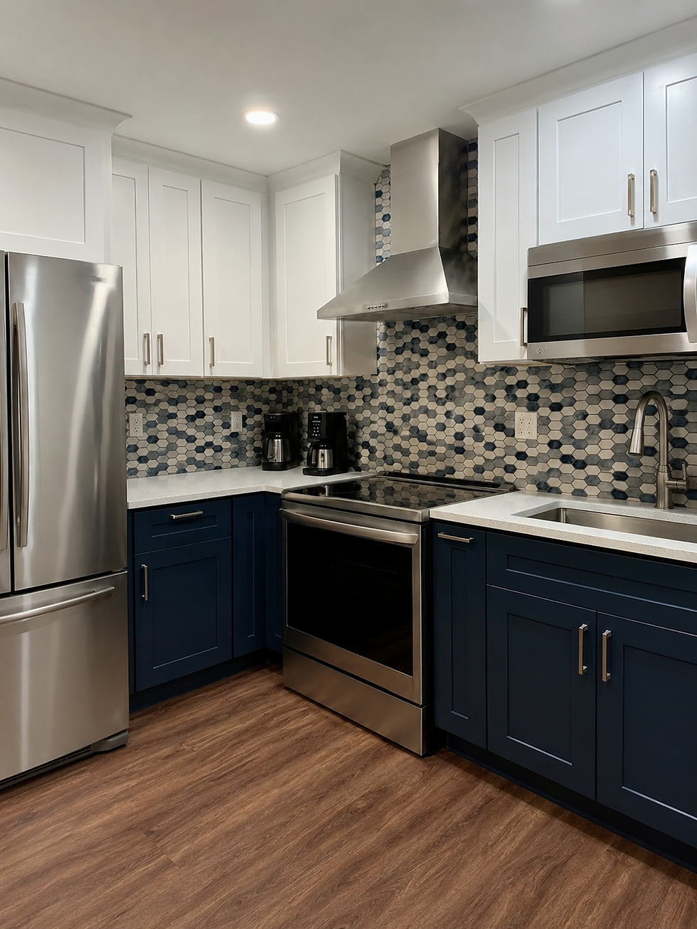 kitchen remodel tampa joenlle.png
