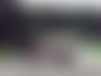 Brazilian Grand Prix