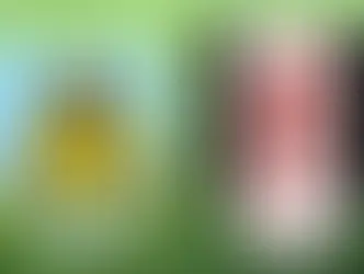 Burnley v Fulham
