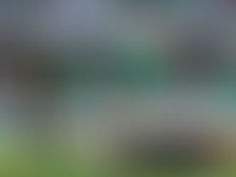 Ireland take on the All Blacks