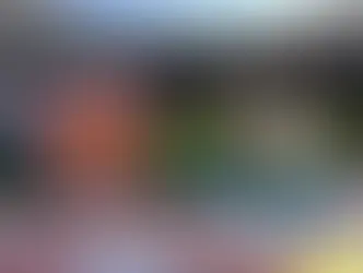 West Ham v Newcastle United