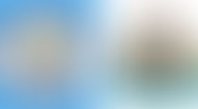 Manchester City v Newcastle