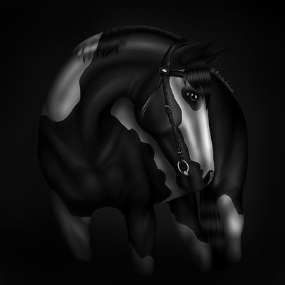 horse-4100412_1280.png