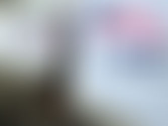 الانتخابات الأمريكية | فشل آخر محاولات ترامب لرفض فوز جو بايدن