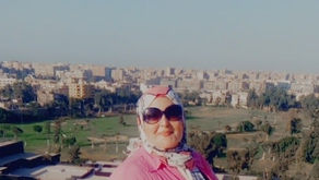 الوَنَس