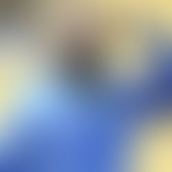 تصحيح شائعة | انتقال موسيماني لنادي بالإمارات قبل الكلاسيكو المصري في دوري أبطال أفريقيا