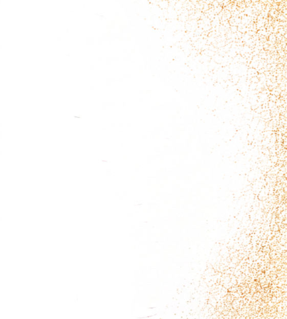 meet the author banner_edited.jpg