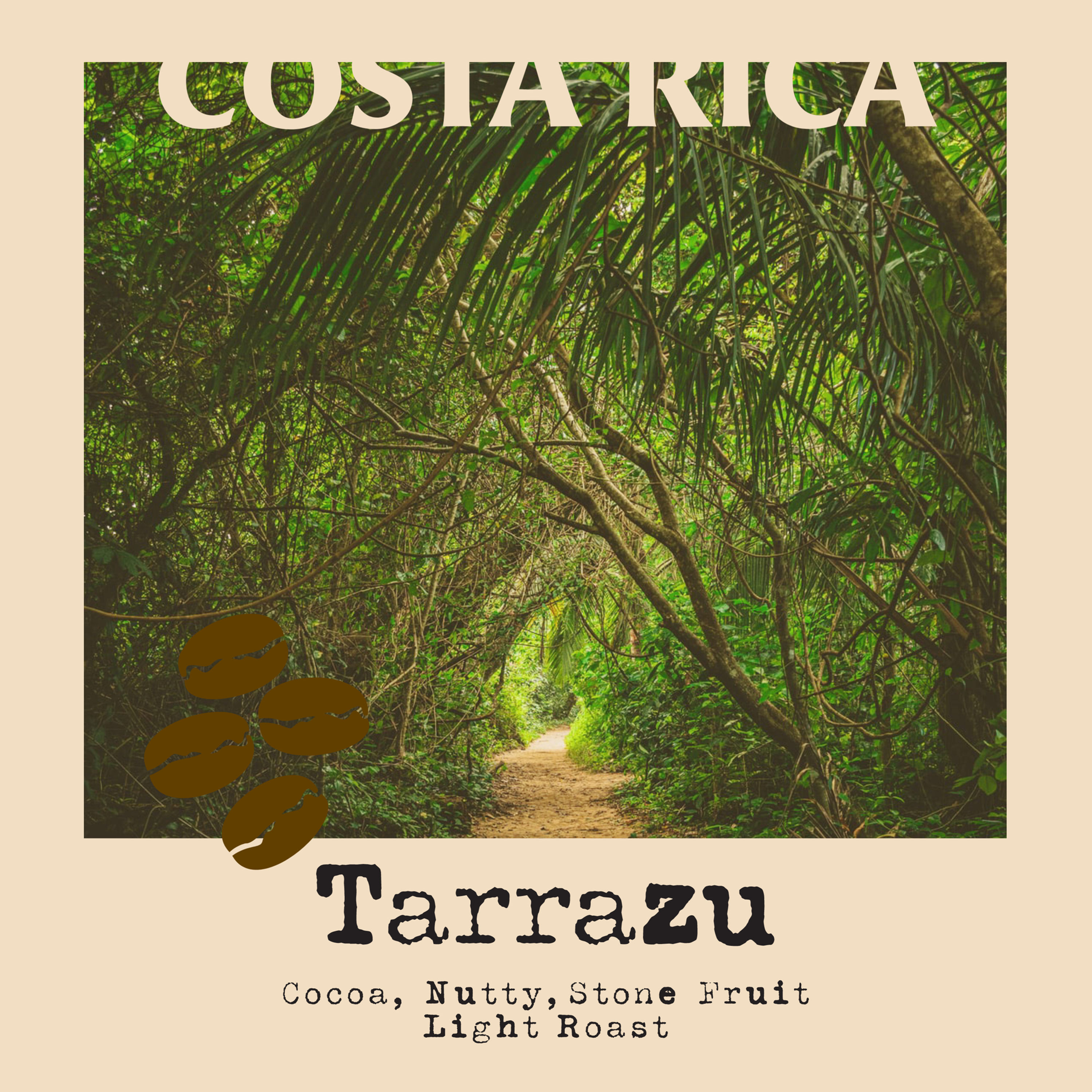 Costa Rica • Tarrazu