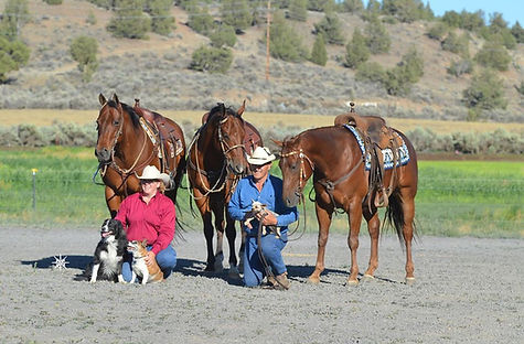 Two people with three saddled horses and dogs on a ranch.