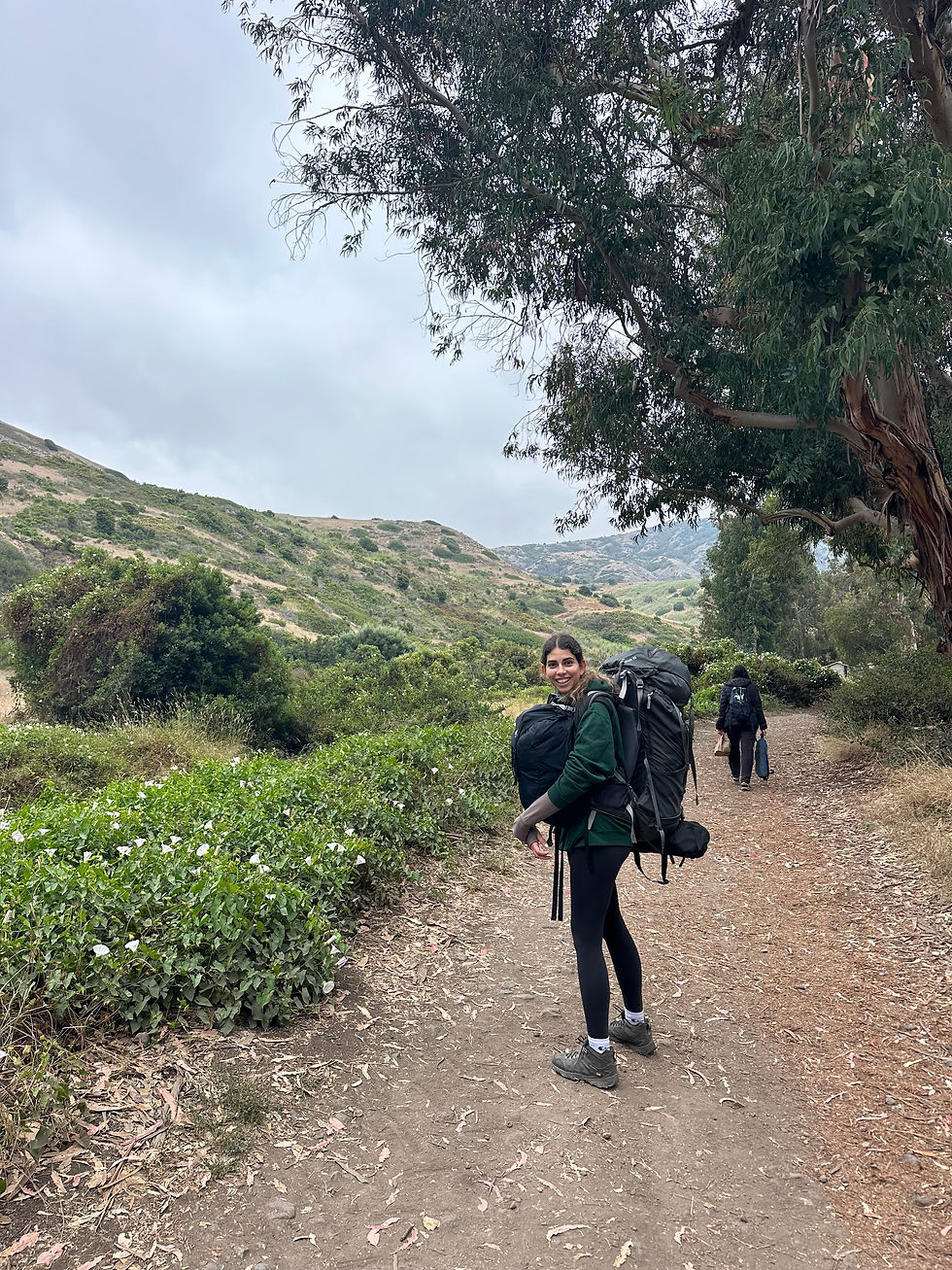 Channel Islands