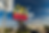 330_812a3424 (original).png
