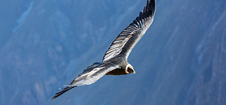 Untitled design (3).jpg