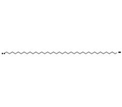 No_Image_Available