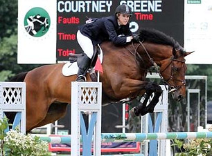courtney horse.jpeg
