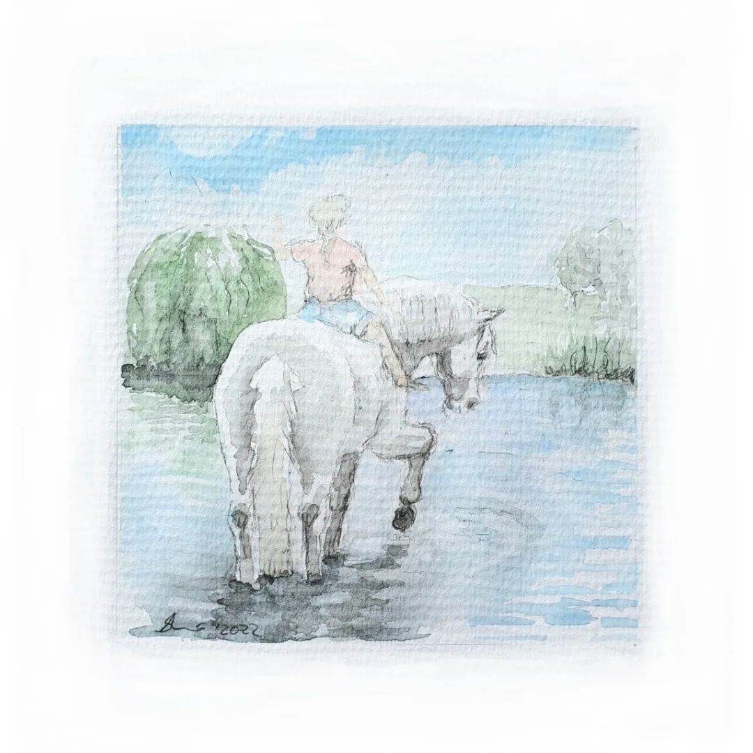 Pferdeillustration Tierkunst Atelier Annette Sommer Bergisch Gladbach Pony Illustrationen