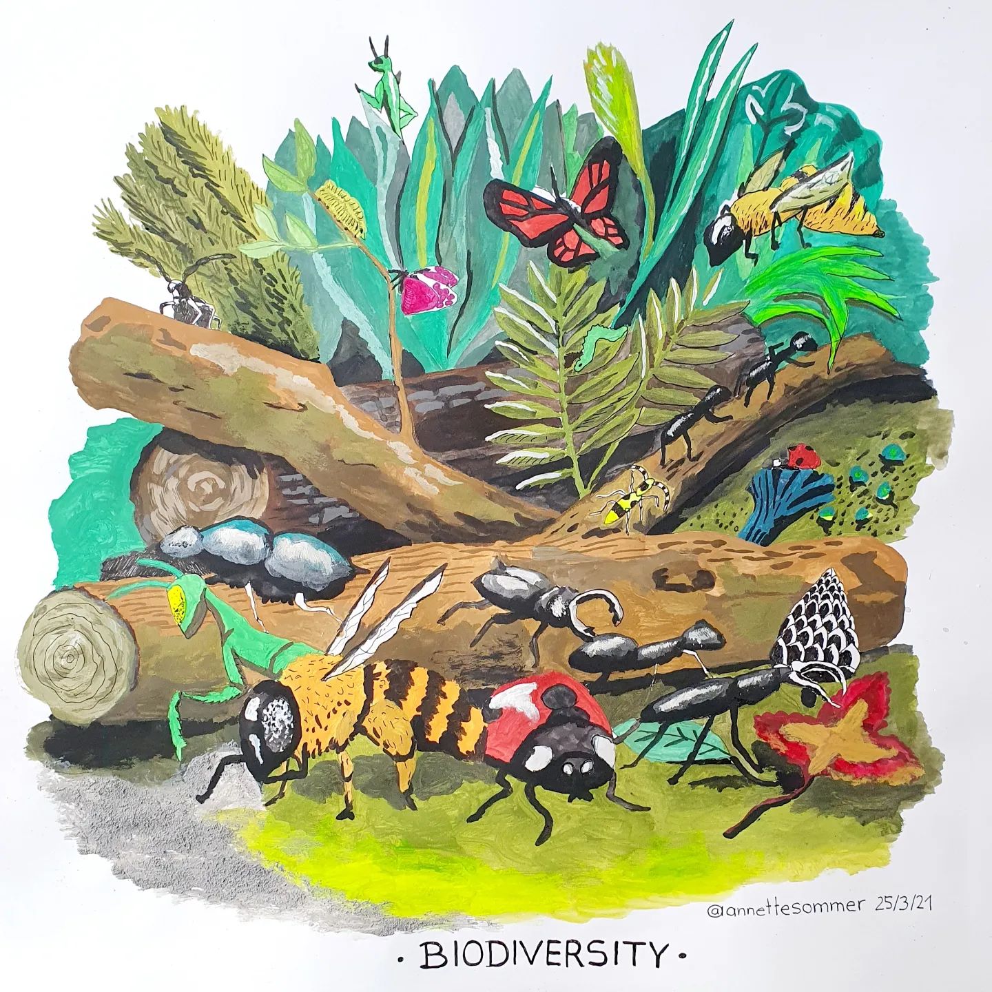 Tierillustration Biodiversity Tierkunst Atelier Annette Sommer Bergisch Gladbach Ökologie Illustration