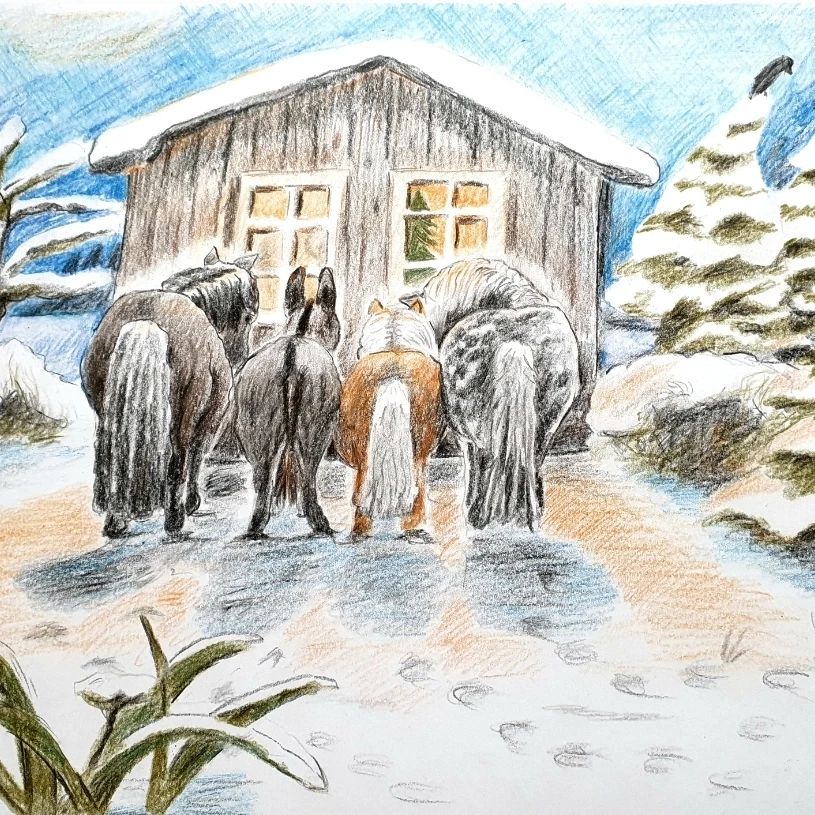 Buntstift Illustration Kinderbuch Illustration Pony Tierkunst Atelier Annette Sommer