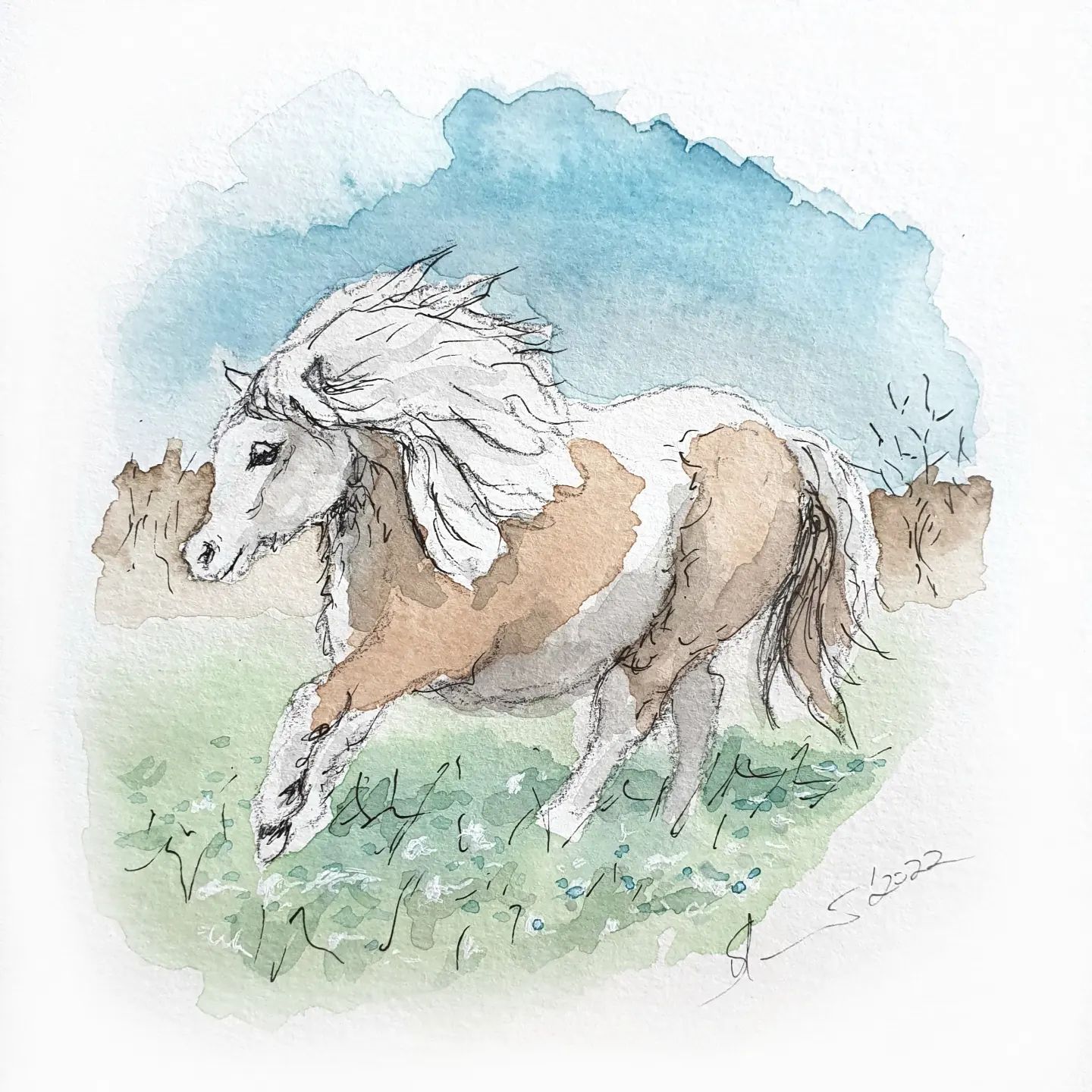 Pony Pferd Illustration Tierillustration Tierkunst Atelier Annette Sommer Bergisch Gladbach Aquarellkunst