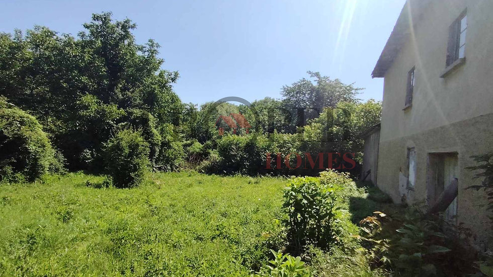 Миниатюра: 5234003