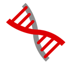 Copy%20of%20dazzle-2_edited.png