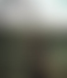 Ensaio Fotográfico - Bruxas