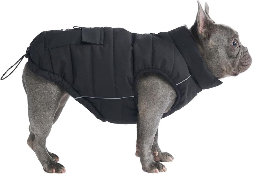 Dog Water-Resistant Windproof Winter Jacket