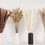 Thumbnail: 100 Stems Dried Pampas Grass Decor