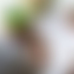 What to Book First: Priority Order for Wedding Vendors