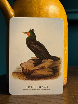cormorant.png