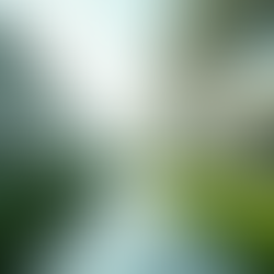 Exploring the Intersection of Futuristic Design and Sustainable Architecture