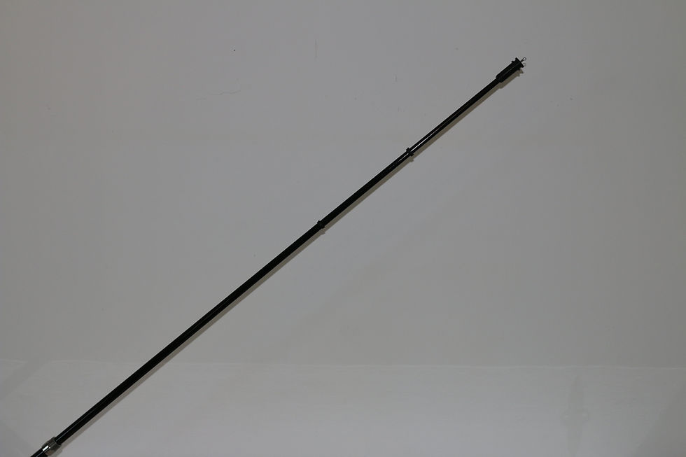 Miniature : BATON CANNE GRF
