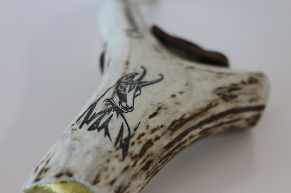 Close-up of a carved antler with a bull image and details. GRF.